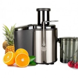 RASETSU Electric Juice Extractor, Easy Clean Juicer Machines with Wide Mouth, 800W Stainless Steel Centrifugal Juicer with Juice Container, Blender for Fruit Vegetable, Anti-drip, Black