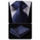 Hamani Plaid Polka Dots Stripe Tie Handkerchief Woven Classic Men's Necktie & Pocket Square Set