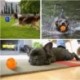 JOONZOO  Dog Balls Toys Pet Toys Rubber Indestructible Dog Toy Ball Interactive Squeak Dog Toy Ball Training Playing