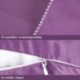 CRAURU Zippered Satin Pillow Cases for Hair and Skin, Luxury Standard Hidden Zipper Pillowcases Set of 2, 20 x 26 Inches, Purple 