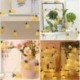 UETGRE 2 Packs Pineapple String Lights LED Battery Operated Fairy String Lights 