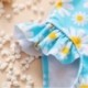 Ming Group Baby Girls One-Piece Swimsuit Beachwear