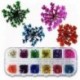 BELLAXIXI Nail Art Natural Real Dried Flowers 3D Art DIY Manicure Sticker Accessories 12 Colors