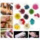 BELLAXIXI Nail Art Natural Real Dried Flowers 3D Art DIY Manicure Sticker Accessories 12 Colors