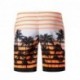 NINESTAR Wholesale quick dry comfortable board shorts custom  mens Beach Shorts