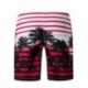 NINESTAR Wholesale quick dry comfortable board shorts custom  mens Beach Shorts