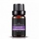 glaromakk 100% Pure Essential Aromatherapy Oils Gift Set-6 Pack , 10ML(Eucalyptus, Lavender, Lemon grass, Orange, Peppermint, Tea Tree)