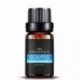 glaromakk 100% Pure Essential Aromatherapy Oils Gift Set-6 Pack , 10ML(Eucalyptus, Lavender, Lemon grass, Orange, Peppermint, Tea Tree)