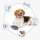 zangaopet  Dog Toy - Durable Rubber Grenade Shaped Dog Chew Toy - Treat Dispenser - Fetch Toy - Slow Feeder - Soft Puppy Material for Teething Pups - Made in CHINA