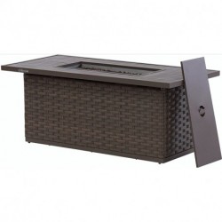 Olmia  Outdoor Wicker Patio Propane Gas Fire Pit 