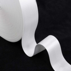 Holust   Nylon strapping or tie downs - Heavy Duty Strapping for Crafting Pet Collars, Shoulder Straps, Slings,  Gardening, Outdoor Gear & More (1 inch x 10 Yards, White)