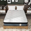 DIGLANT HOME  10 Inch Memory Foam Mattress with Innerspring Hybrid Mattress
