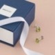 BRIGHTLYLIT 14K Gold Classic Solitaire Stud Earrings