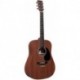 Amperer  Acoustic-Electric Guitar with Gig Bag,Pattern High-Pressure Laminate,Performing Artist Neck Shape