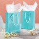 Shunhong  Paper party bags,Small Teal Party Favor Gift Bags with Handles