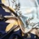 VTVN  Turban,New printed silk head scarf flower and bird pattern ladies scarf headband