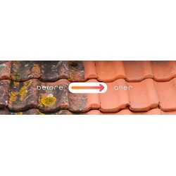 EPM  Coloured Roof Coating, Sealant Paint-Sienna Red - Ready to Use Waterproofing for Roofing - 1.5 Gallon