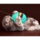 Cat Toy Funny Pet Training Tool Cat Leaking Food Ball Toy Educational Tumbler Toy Pet Supplies