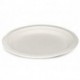 Tuzueu 100% Compostable 9 Inch Heavy-Duty Plates [125 Pack] Eco-Friendly Disposable Sugarcane Paper Plates
